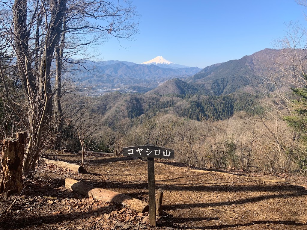 コヤシロ山頂