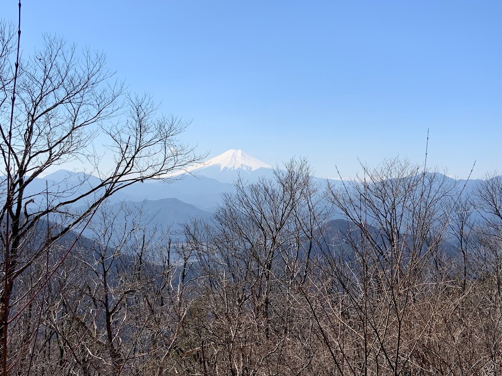 権現山より富士山を臨む